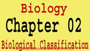 biology copy