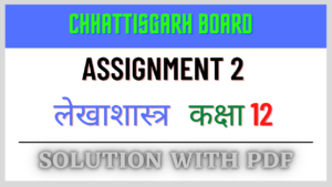 Chhattisgarh Board Assignment 2 Class 12th Business Study