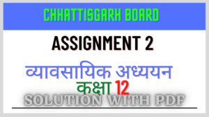 Chhattisgarh Board Assignment 2 Class 12th Business Study